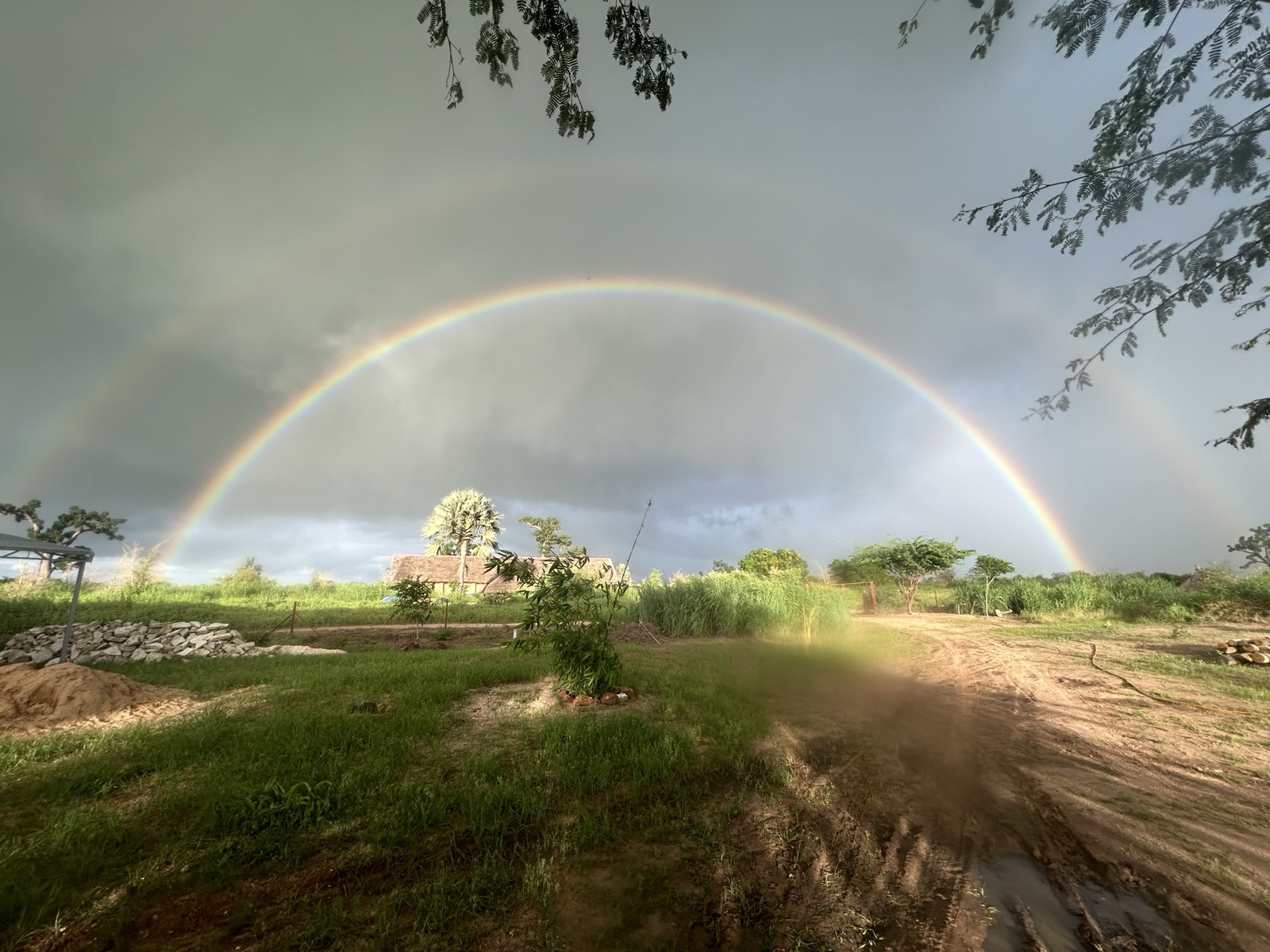 Coucher de soleil sur la lagune de Somone